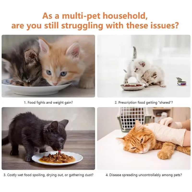 Smart Pet Feeder Automatic Cat Feeder With WIFI App Control Sensor Rec