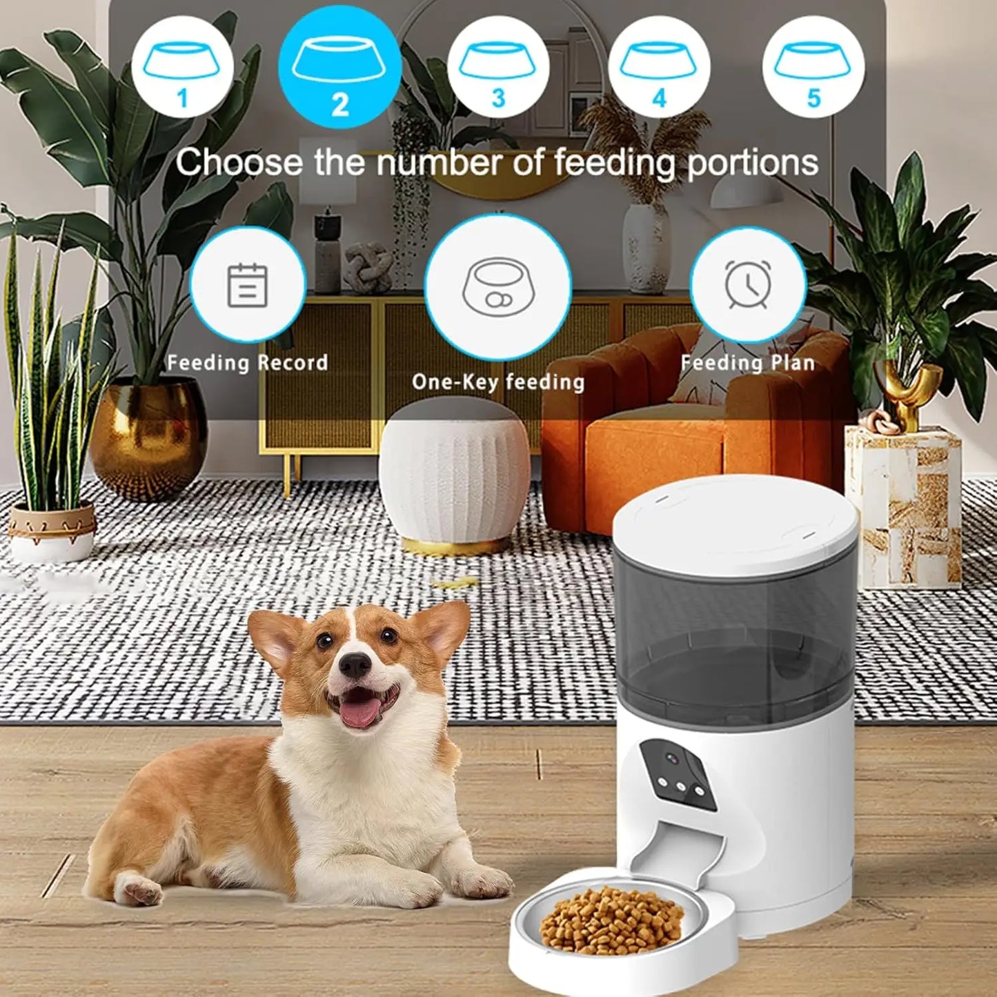 4L 6L Smart Automatic Pet Feeder Voice Calling APP Control Charge Soli
