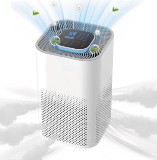 Google Home Customized Plasma WIFI Home Air Purifier for Large Rooms P